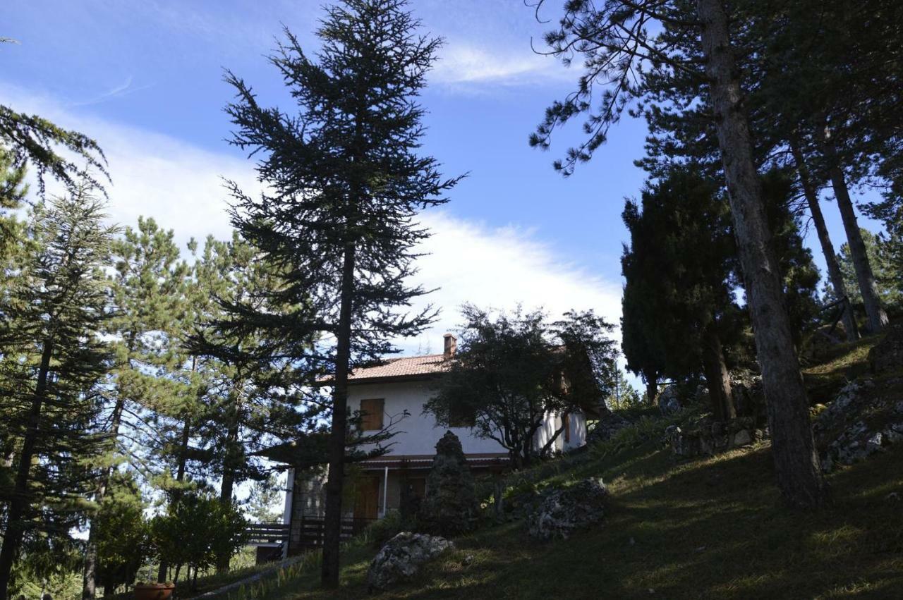 Poggio Eco B&B Ascoli Piceno Eksteriør billede